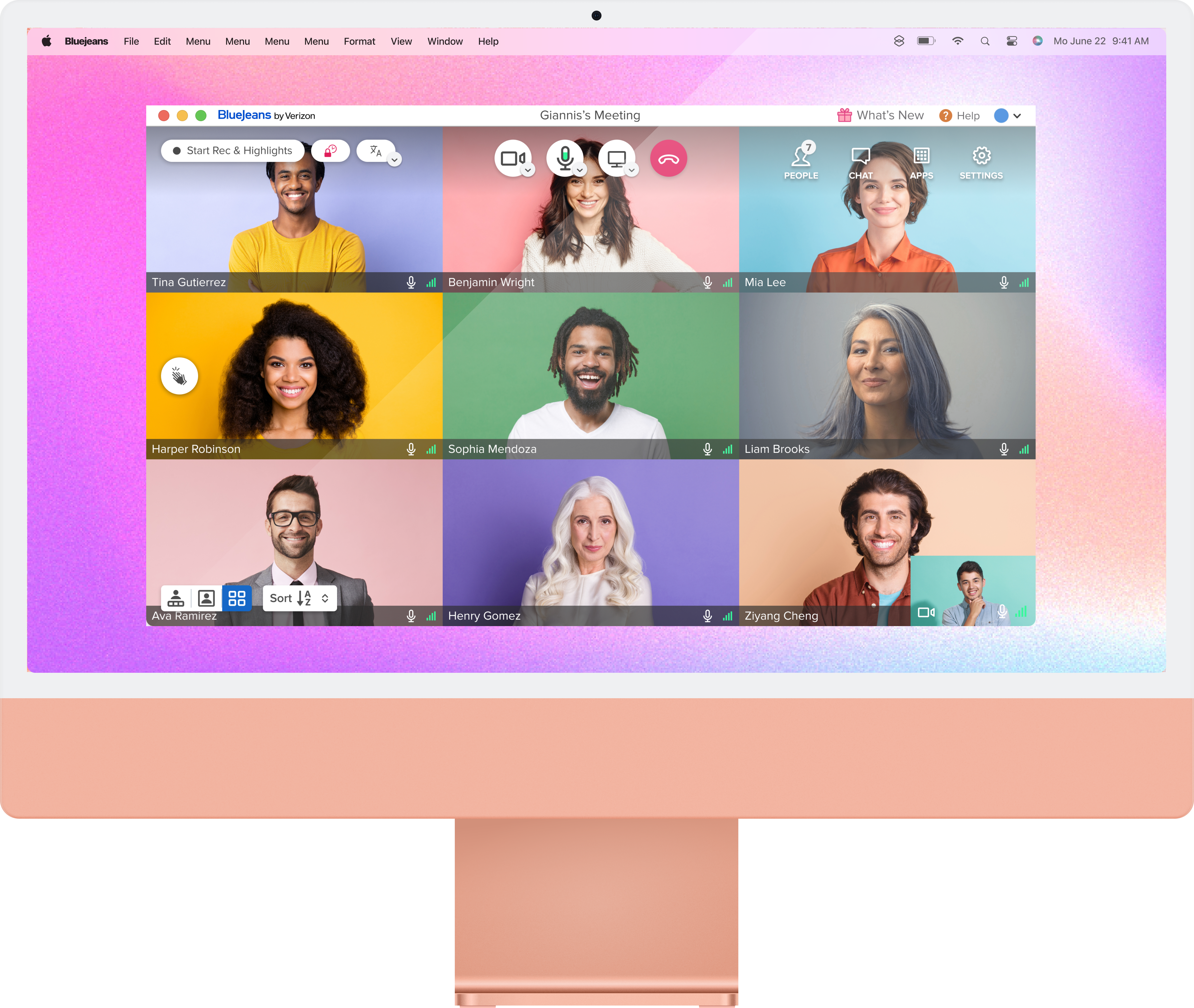 BlueJeans — video layout gallery mock